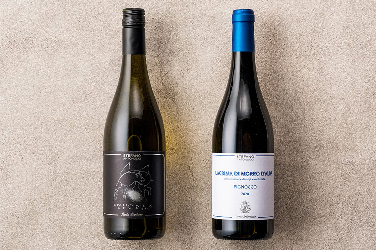 赤ワイン 白ワイン 2本セット マルケ サンタバーバラ